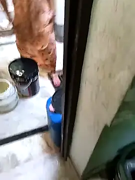 Cute-Charvii online show from 03/08/26, 02:48