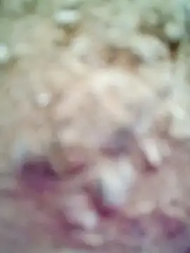 M-Kajal456 online show from 11/04/25, 03:49