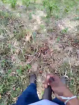 DICKLANKA online show from 09/23/25, 08:28