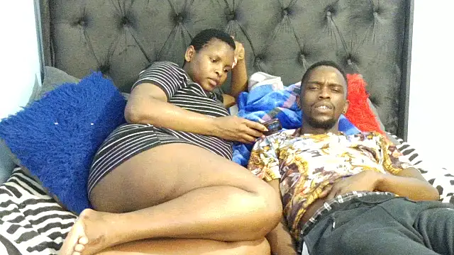 Dandelion enigman online show from 11/27/25, 03:47