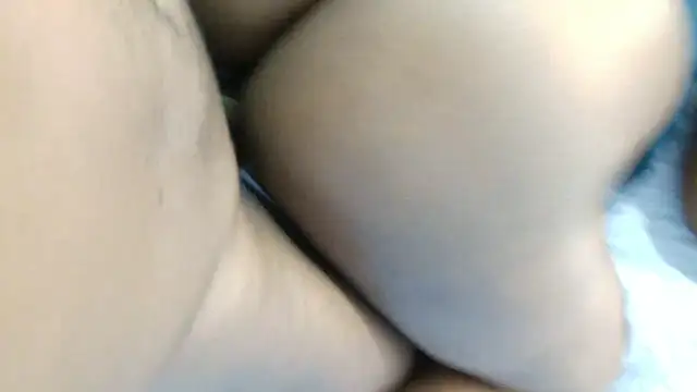 Dandelion enigman online show from 01/11/26, 09:25