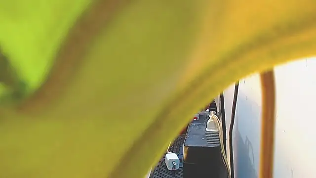 AnySugar online show from 02/15/25, 07:50