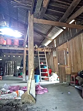 xuxulovezz online show from 03/02/26, 07:48