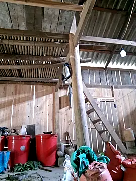 xuxulovezz online show from 04/04/26, 04:44