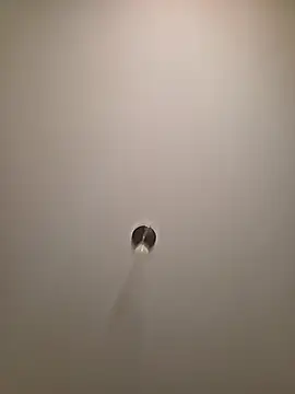 brunettebabexo3 online show from 02/12/26, 05:52