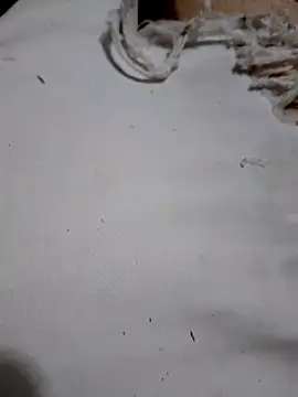 Snapshot of SALCEDO_041198 chatting on 10/11/25, 10:52 SALCEDO 041198 online show from 10/11/25, 10:52