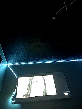 Painstickwes online show from 02/05/26, 09:52