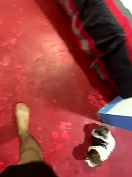 Snapshot of hot_duo16 chatting on 10/29/25, 04:15 hot duo16 online show from 10/29/25, 04:15