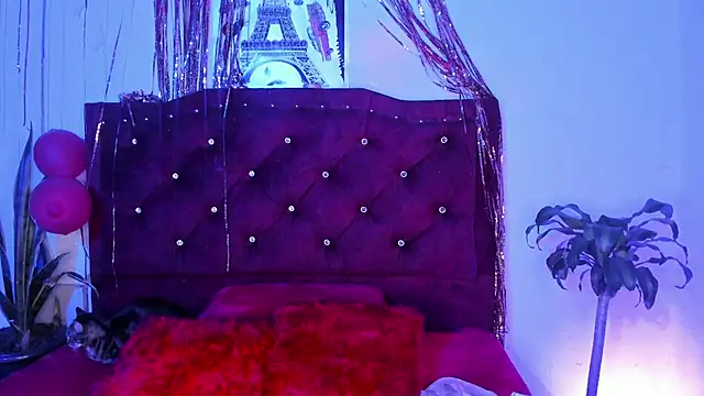 kitty  chs online show from 03/01/26, 04:36