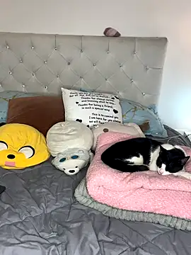 sunnymoonn 1 online show from 10/02/25, 08:05