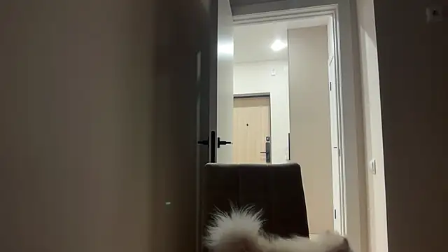 CandysRose online show from 04/29/26, 06:14