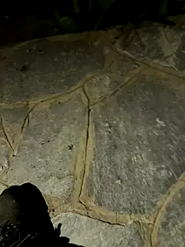 gptre online show from 09/30/25, 07:41