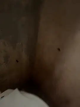 Snapshot of favelado33 chatting on 09/26/25, 04:22 favelado33 online show from 09/26/25, 04:22