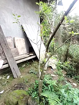 zhen-zo online show from 03/19/26, 01:20