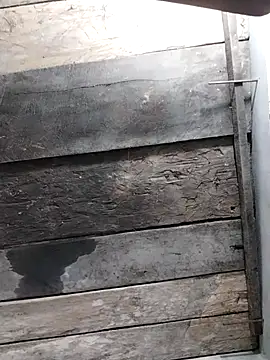 zhen-zo online show from 04/17/26, 11:24