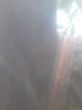 bree-zz online show from 11/10/25, 01:48