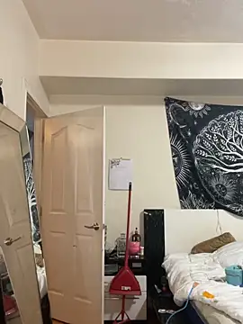 sexybriiiixoxo online show from 03/01/26, 04:47