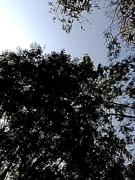 Rs sonam online show from 02/14/26, 03:47