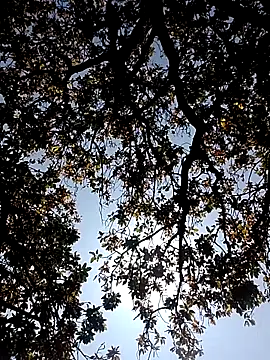 Rs sonam online show from 03/07/26, 05:26