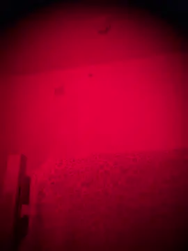 bellacagyal online show from 02/02/26, 09:19