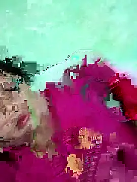 Na shreya online show from 04/12/26, 03:28