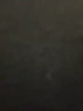 lee ly online show from 12/15/25, 11:36