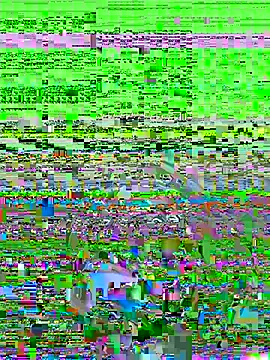 itsthecatchh online show from 11/08/25, 08:51