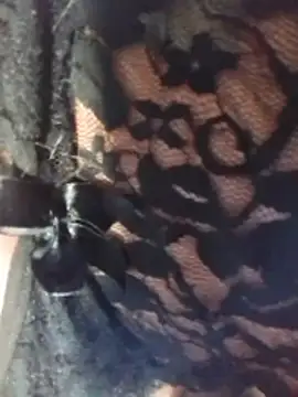 misteriosabb000 online show from 03/17/26, 06:33