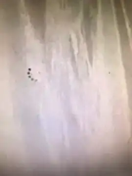 amasha200 online show from 03/09/26, 12:03