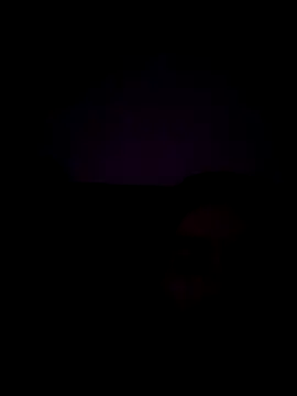 haze1233 online show from 10/29/25, 02:14