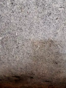 nagepalli online show from 11/14/25, 03:49