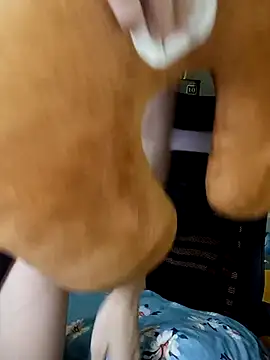 BiCute688 online show from 11/01/25, 04:31