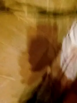 Apeesynka55211 online show from 03/11/26, 08:59