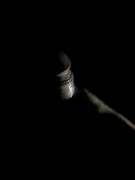 -bunny06 online show from 10/10/25, 09:52