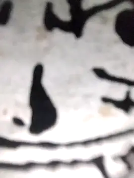 PEEHU-50 online show from 11/21/25, 12:10