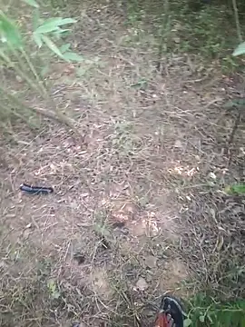 Aadityaaa07 online show from 11/11/25, 05:40