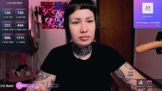 Senorita  Dakota online show from 01/31/26, 07:45