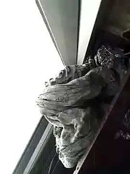 amanWildstalion online show from 11/08/25, 07:19