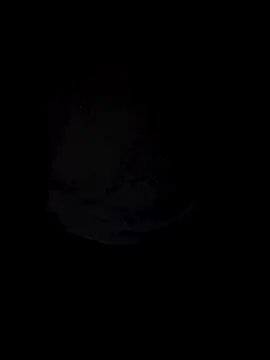 Curious9884 online show from 10/04/25, 01:31