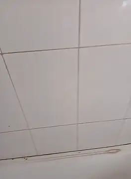 Snapshot of PhoningTint chatting on 10/12/25, 03:22 PhoningTint online show from 10/12/25, 03:22