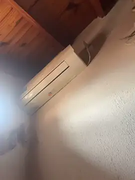 lcyatussbe online show from 10/29/25, 02:19