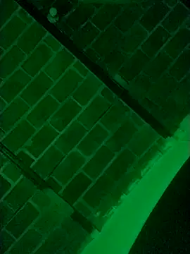 Snapshot of Buddha289 chatting on 03/09/26, 07:34 Buddha289 online show from 03/09/26, 07:34