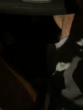 ayrtonmen online show from 06/05/26, 04:30