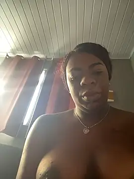 Priihmedeiros online show from 02/14/26, 10:12