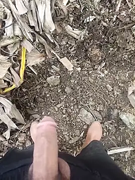 Sikici0734 online show from 02/02/26, 08:57