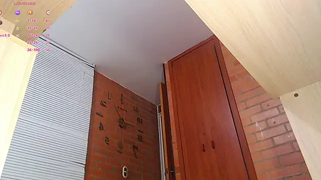 Snapshot of Salome-sw chatting on 02/01/25, 01:55 Salome-sw online show from 02/01/25, 01:55