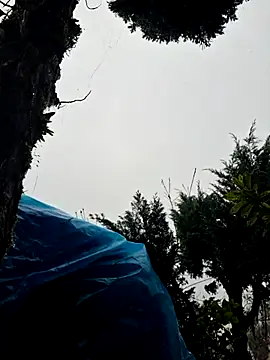 miomio-12 online show from 11/02/25, 01:35