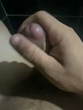 Snapshot of josezinho121314 chatting on 02/18/26, 11:33 josezinho121314 online show from 02/18/26, 11:33