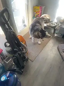 Jcaspen online show from 03/09/26, 01:04