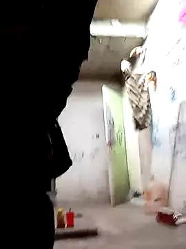 8uno online show from 10/17/25, 03:03